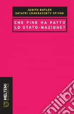 Che fine ha fatto lo stato-nazione?. E-book. Formato EPUB ebook