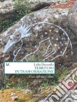 Territori in trasformazione: Il caso dell’Alta Gallura. E-book. Formato EPUB ebook