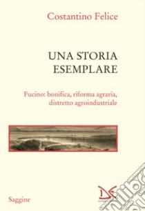 Una storia esemplare: Fucino: bonifica, riforma agraria, distretto agroindustriale. E-book. Formato EPUB ebook di Costantino Felice