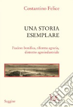 Una storia esemplare: Fucino: bonifica, riforma agraria, distretto agroindustriale. E-book. Formato EPUB ebook