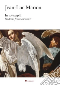 In sovrappiù: Studi sui fenomeni saturi. E-book. Formato PDF ebook