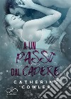 A un passo dal cadere. E-book. Formato EPUB ebook di Catherine Cowles