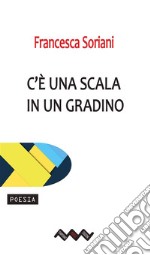 C&apos;è una scala in un gradino. E-book. Formato EPUB ebook