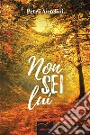 Non sei lui. E-book. Formato EPUB ebook di Petra Angelini