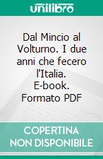 Dal Mincio al Volturno. I due anni che fecero l'Italia. E-book. Formato PDF ebook