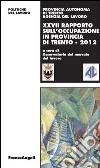 XXVII Rapporto sull'occupazione in provincia di Trento 2012. E-book. Formato PDF ebook