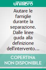 Aiutare le famiglie durante la separazione. Dalle linee guida alla definizione dell'intervento per gestire il «diritto di visita». E-book. Formato PDF ebook