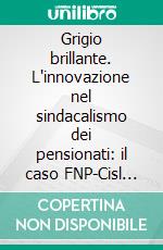 Grigio brillante. L'innovazione nel sindacalismo dei pensionati: il caso FNP-Cisl Lombardia. E-book. Formato PDF ebook