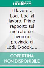 Il lavoro a Lodi, Lodi al lavoro. Primo rapporto sul mercato del lavoro in provincia di Lodi. E-book. Formato PDF ebook