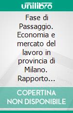 Fase di Passaggio. Economia e mercato del lavoro in provincia di Milano. Rapporto 2008-2009. E-book. Formato PDF ebook di Provincia di Milano (cur.)