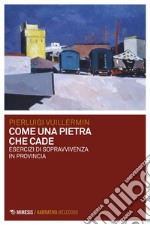 Come una pietra che cade: Esercizi di sopravvivenza in provincia. E-book. Formato EPUB