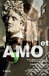 Odi et amo: Ambiguità percettive e pensiero quantistico. E-book. Formato PDF ebook