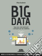 Big data: cosa sono, come analizzarli e utilizzarli per fare marketing. E-book. Formato EPUB ebook