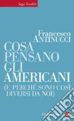 Cosa pensano gli americani (e perché sono così diversi da noi). E-book. Formato EPUB