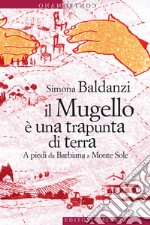 Il Mugello è una trapunta di terra: A piedi da Barbiana a Monte Sole. E-book. Formato EPUB ebook