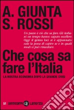 Che cosa sa fare l'Italia: La nostra economia dopo la grande crisi. E-book. Formato EPUB ebook