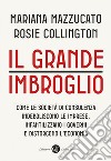 Il grande imbroglio: Come le società di consulenza indeboliscono le imprese, infantilizzano i governi e distorcono l'economia. E-book. Formato EPUB ebook