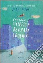 Che cosa è successo a Barnaby Brocket?. E-book. Formato PDF ebook