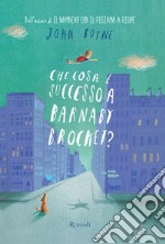 Che cosa è successo a Barnaby Brocket?. E-book. Formato EPUB ebook