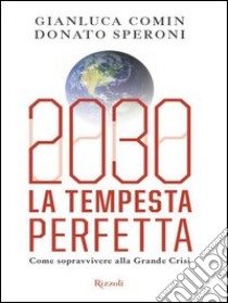 2030 La tempesta perfetta. E-book. Formato PDF ebook di Donato Speroni