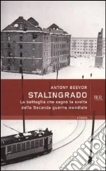 Stalingrado. E-book. Formato PDF