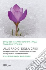 Alle radici della crisi. Le ragioni politiche, economiche e culturali di un processo ancora reversibile. E-book. Formato EPUB ebook