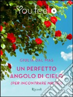 Un perfetto angolo di cielo (per incontrare Mr Big) (Youfeel). E-book. Formato EPUB