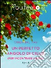 Un perfetto angolo di cielo (per incontrare Mr Big) (Youfeel). E-book. Formato EPUB ebook di Giulia Dal Mas