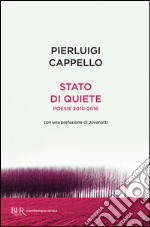 Stato di quiete. E-book. Formato EPUB ebook