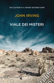 Viale dei Misteri. E-book. Formato EPUB ebook di John Irving