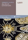Albert Einstein: Un atlante filosofico. E-book. Formato EPUB ebook di Francesco Laudisa