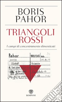 Triangoli rossi: I campi di concentramento dimenticati. E-book. Formato EPUB ebook