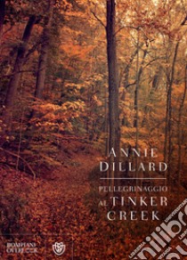 Pellegrinaggio al Tinker Creek. E-book. Formato EPUB ebook di Annie Dillard