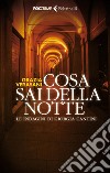 Cosa sai della notte. E-book. Formato PDF ebook di Grazia Verasani