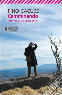 Camminando: Incontri di un viandante. E-book. Formato EPUB ebook