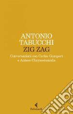 Zig zag: Conversazioni con Carlos Gumpert e Anteos Chrysostomidis. E-book. Formato EPUB ebook