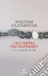 Una pietra può soffrire?: Piccolo manuale filosofico. E-book. Formato EPUB ebook