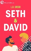 Seth & David (eLit). E-book. Formato EPUB ebook di Lb Gregg