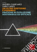 Un altro sostegno è possibile: Pratiche di evoluzione sostenibile ed efficace. E-book. Formato EPUB ebook