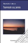 Frammenti dell'anima. E-book. Formato EPUB ebook di Massimiliano Cannavicci