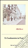 Er condominio in Prati. E-book. Formato Mobipocket ebook di Aldo Rizzo