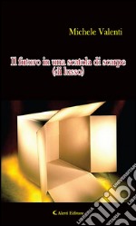 Il futuro in una scatola di scarpe (di lusso). E-book. Formato EPUB ebook