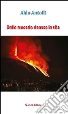 Dalle macerie rinasce la vita. E-book. Formato Mobipocket ebook di Aldo Antolli