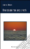 Una fessura tra luce e pietà. E-book. Formato Mobipocket ebook di Daniele D’Amico