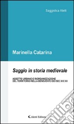 Saggio in storia medievale. Assetto urbano e riorganizzazione del territorio nella Benevento dei Sec. XI e XII. E-book. Formato EPUB ebook