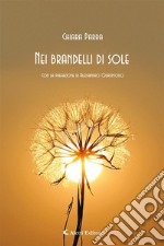 Nei brandelli di sole. E-book. Formato EPUB ebook