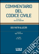 DEI FATTI ILLECITI (art.2043 art. 96c.p.c.) volume 1. E-book. Formato EPUB