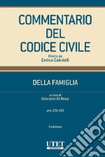 Commentario Codice della Famiglia vol. II. E-book. Formato EPUB ebook