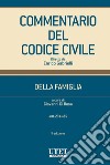 Commentario Codice della Famiglia vol. II. E-book. Formato EPUB ebook