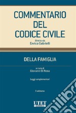 Commentario Codice della Famiglia vol. III. E-book. Formato EPUB ebook